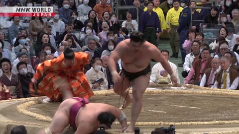 March Tournament Highlights - GRAND SUMO TOURNAMENT - NHK World