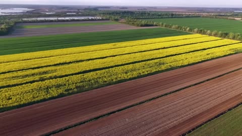 Agricoltura di precisione DOCUMENTARIO RAI L'agricoltura di precisione è una strategia di gestione dell’attività agricola al fine di migliorare l'efficienza nell'uso delle risorse,la produttività,la qualità e la redditività