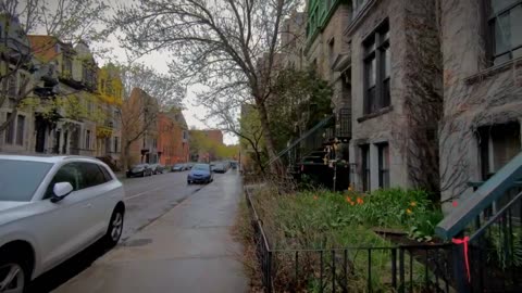 "Rainy Day Reflections: A Glimpse into America's Soothing Serenity"