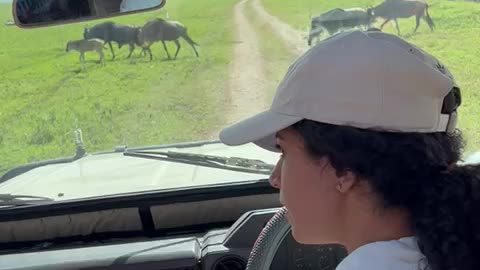 Michelle learning to drive safari Jeep