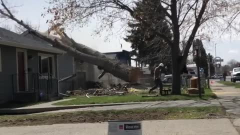 Guy Cuts Tree Which Accidentally Falls Down on the Roof of House