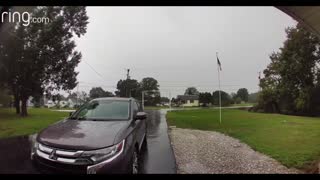 Lightning Shocks Nearby Tree