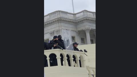 Jan. 6 Crowd Chants 'Peaceful Protest!' as Police Train Pepper Spray Guns on Them