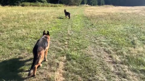 31- Kdo bude spasen? Všichni. Bible to říká jasně. Nebojte se zkoumat se mnou.