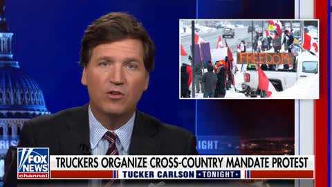 Canadian Truckers - Tucker Carlson