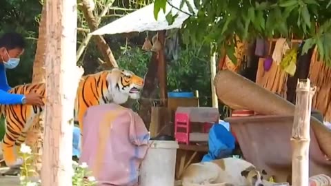 Troll Prank Dog Funny _ fake Lion and Fake Tiger Prank To dog _ Huge Box Prank to dog