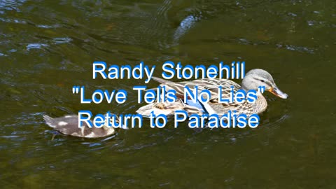 Randy Stonehill - Love Tells No Lies #11