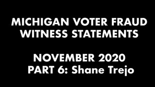 MI poll watchers official testimony over witnessed 2020 election fraud 2