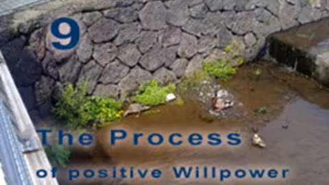 The Positive Process - Chapter 9. Theatrical Ego