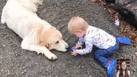Adorable Babies Playing With Dogs Compilation Funny Baby And Dog Videos