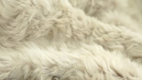 Luxury Real Fur Blankets, Throws and Pillows made with Authentic Toscana Sheep Fur