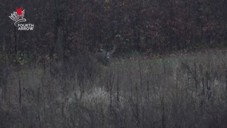 Tips For Self Filming From A Ground Blind