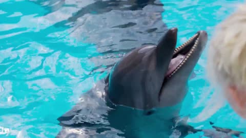 All the sounds of dolphins stimulate the senses in babies and stimulate the fetus's brain to grow