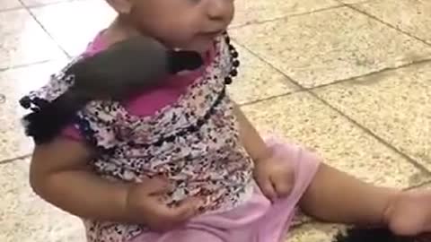 Cute girl play with a bird. Amazing video