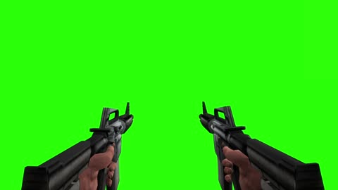 Max Payne 1 Weapons in First Person [GREEN SCREEN]