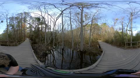 Swamp Bridge 360