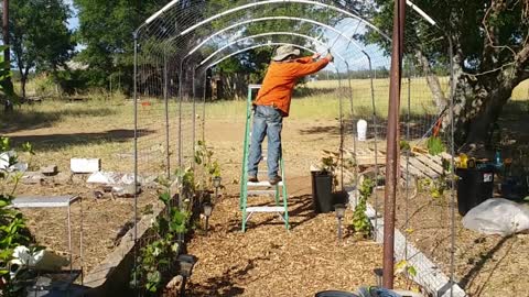 UPADTE and TIPS - Construction of the Grape Arbor - Part 2