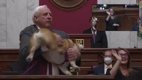 Gov Jim Justice's Dog Has A Message: "Bette Midler And All Those Out There: Kiss Her Hiney"