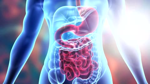 Healthy Digestive System - Healing Subliminal