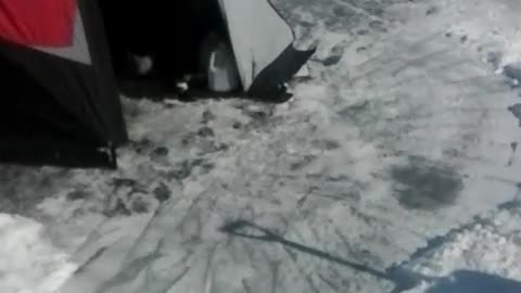 Eskimo Ice Fishing Hub Setup In South Dakota