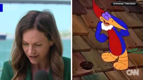See how reporter handles bird repeatedly pecking her head