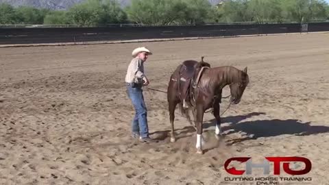 How To Teach A Horse To Stop with Corey Cushing