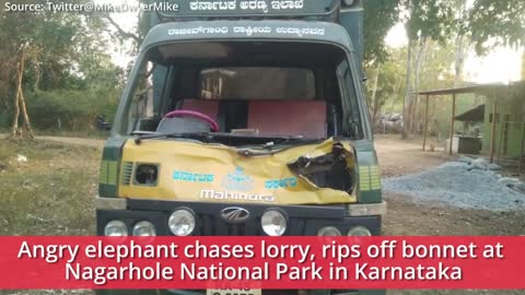 Angry elephant chases lorry, rips off bonnet in Karnataka