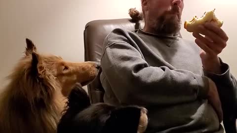 Puppy Pokes Man for His Peanut Butter Sandwich