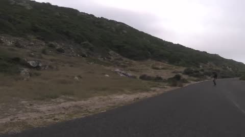 Cyclists_chased_by_an_ostrich._The_funniest_thing_you'll_see_today