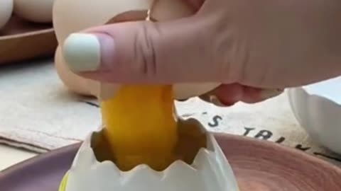 Egg Separator Yolk White Filte