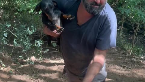 Search And Rescue For Pet Dachshund