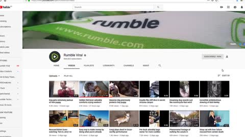 What's Rumble and How Can I Sign Up For New Account