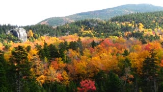 Autumn Leaves Fall Foliage