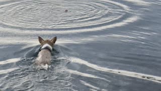 Playing Catch at Lake Havasu