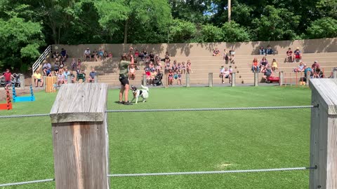 Indy Zoo Dog Act-4