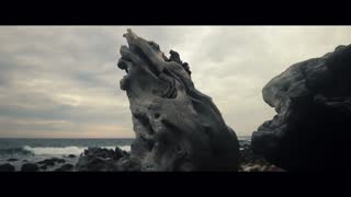 Rare Shaped Driftwood To Seaside Beach