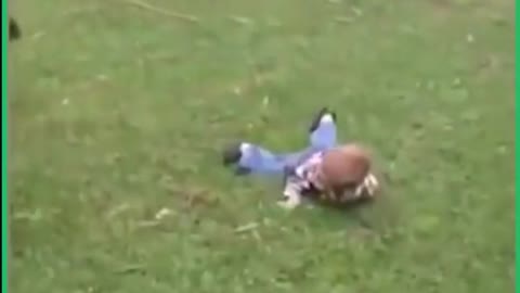 Dog pushes baby down while playing in lawn 😄🐕😺