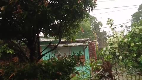 TYPHOON ROLLY HITS IN THE PHILIPPINES