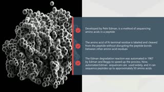 Protein Sequencing - Edman Degradation