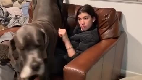 This dog is bitchy
