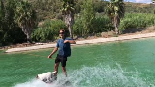 Doctor Brushes Teeth while Riding Wave with his Dog