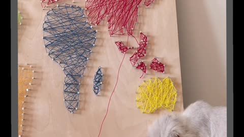 😁😁😁🤔🤔Curious Cat Exploring a World Map 🥱🥱🥱😁😁😁🤔🤔funny video🥱🥱🥱🤔😁🤔