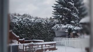 Snowfall Snowfall canada