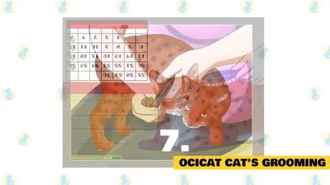 Ocicats: Fun Facts & Myths about cats