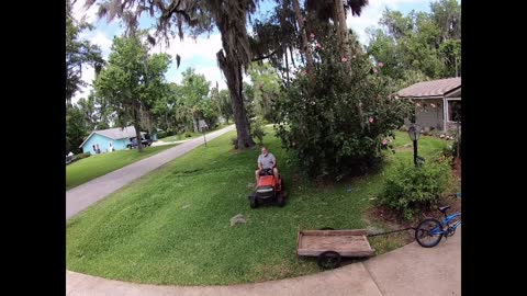 Beautiful day to mow the lawn