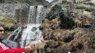 waterfall adventure with our cat