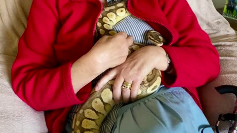 Even Snakes Snuggle