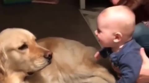 CUTE BABY DOING FUN WITH SMART DOG