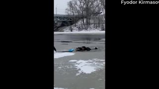 Rescuing a Dog from Cold Waters
