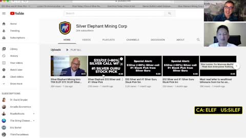 Silver Elephant Is Acquiring Large Lots of Silver In The Ground